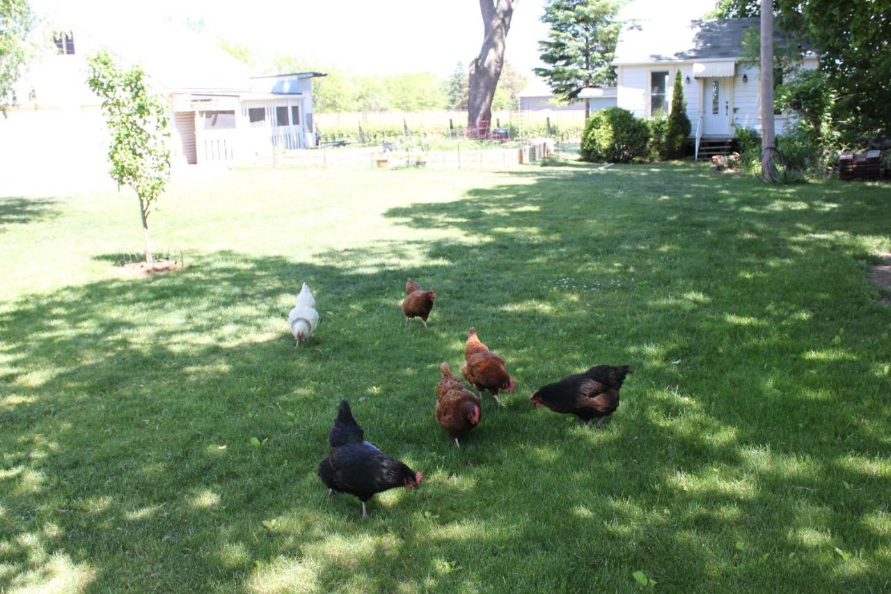 Green Oaks B&B ナイアガラオンザレイク エクステリア 写真