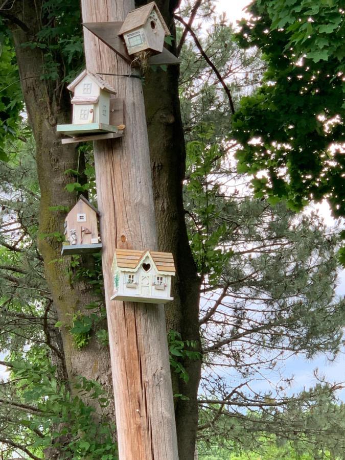 Green Oaks B&B ナイアガラオンザレイク エクステリア 写真
